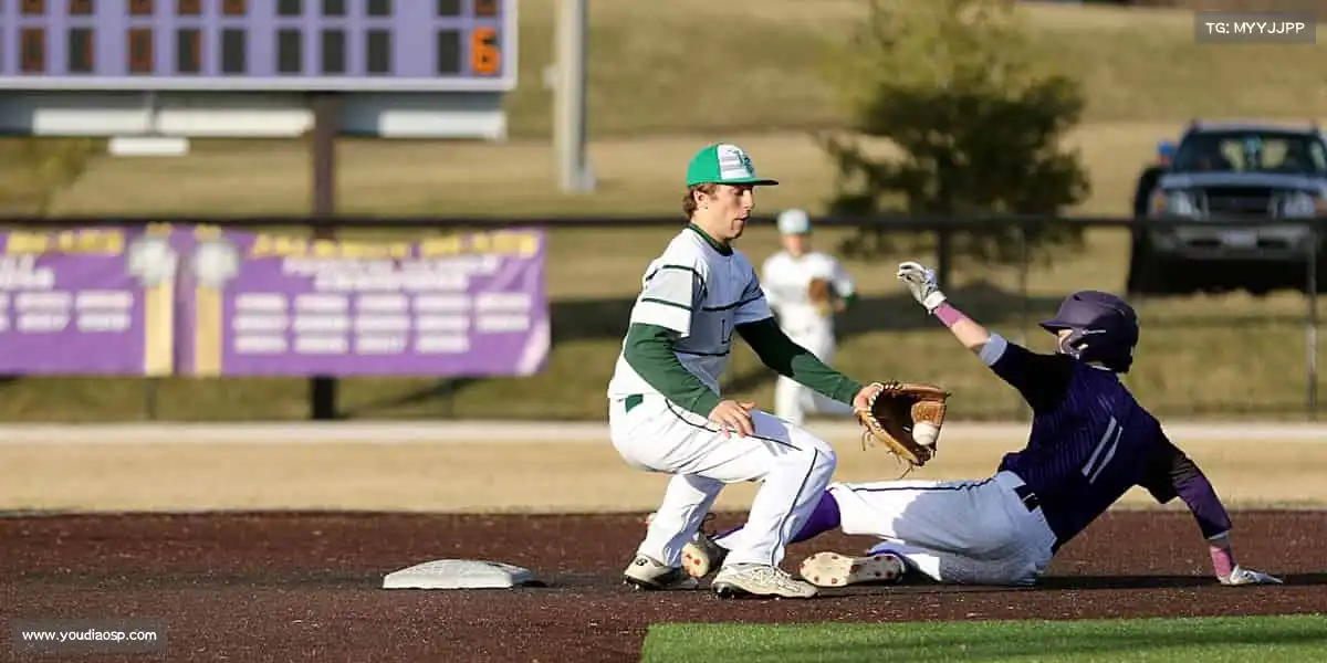 威客电竞官网——🏒冰球疾驰，杆扫千军！